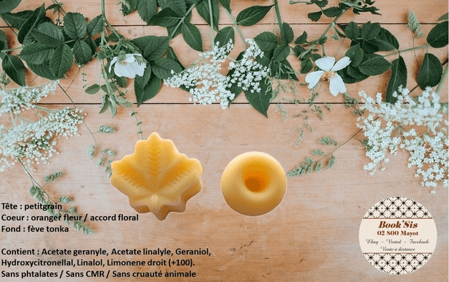 Senteurs florales/boisées