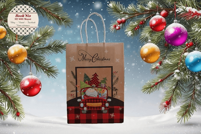 Sacs cadeaux Noël 15x21x8 cm