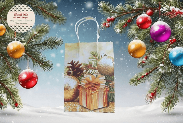 Sacs cadeaux Noël 15x21x8 cm