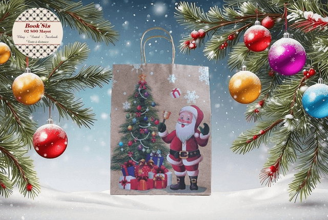 Sacs cadeaux Noël 25,5x33x12,5 cm