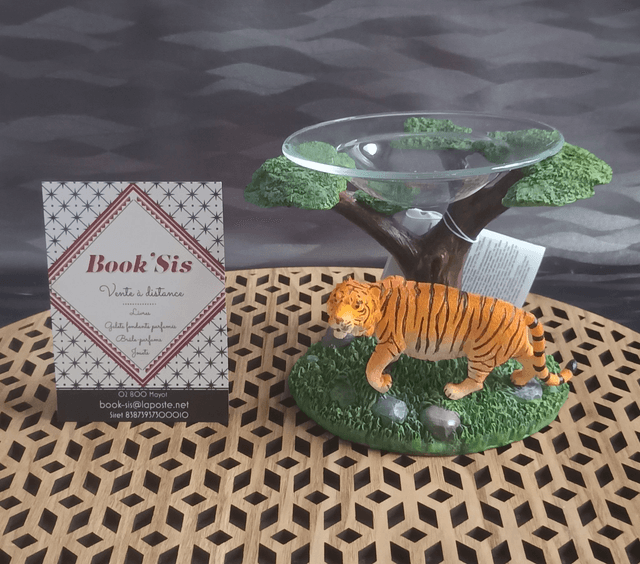 Brûleur &quot; Tigre &quot;